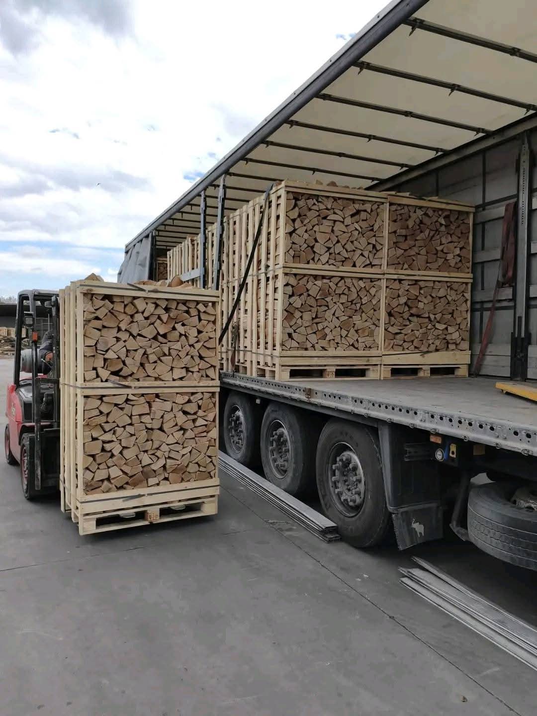 Lenha de faia – 40 metros cúbicos, seca e pronta a usar, já disponível em Portugal. - Imagem de 3
