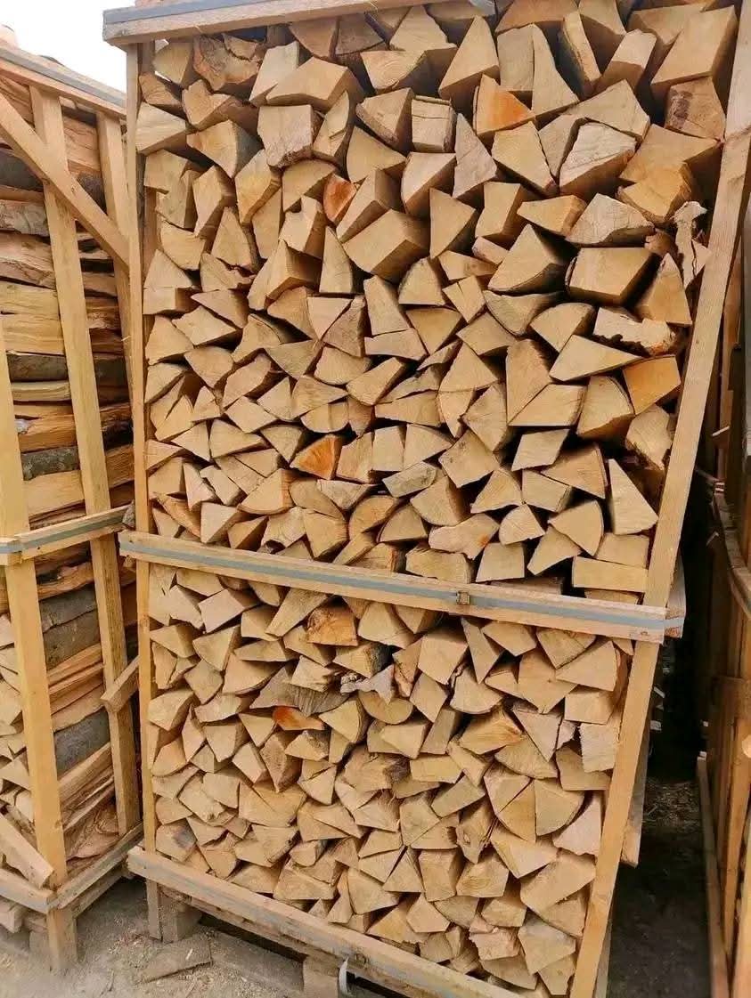 Lenha de faia – 40 metros cúbicos, seca e pronta a usar, já disponível em Portugal. - Imagem de 5